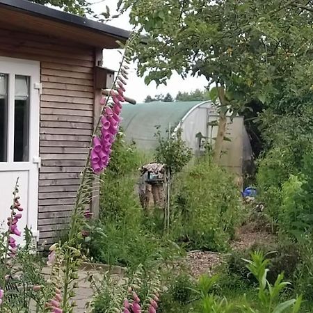 Fairschlafen - Gartenwohnung Buecken Экстерьер фото
