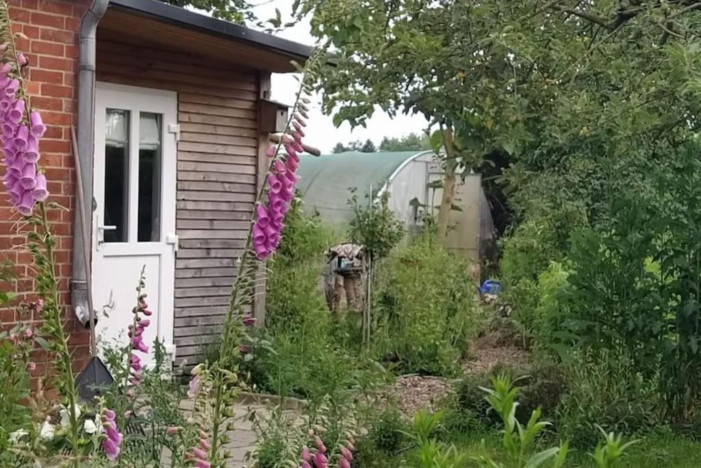 Fairschlafen - Gartenwohnung Buecken Экстерьер фото